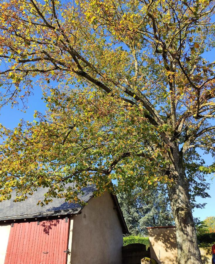 Saint-Aubin-de-Luigné L'Aubinoise B&B 외부 사진