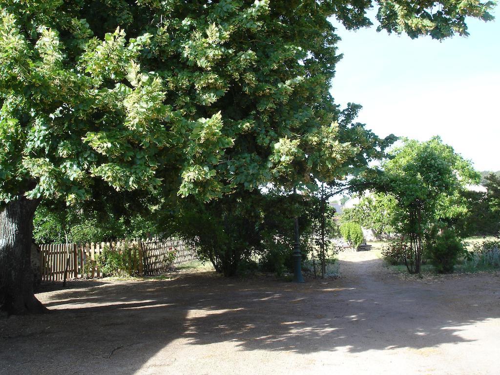 Saint-Aubin-de-Luigné L'Aubinoise B&B 외부 사진